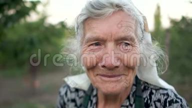 一个非常老的女人的可爱的肖像。 一个戴着围巾的灰发养老金领取者<strong>专心</strong>致志地看着框架、和
